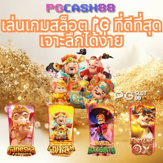 5แถว
